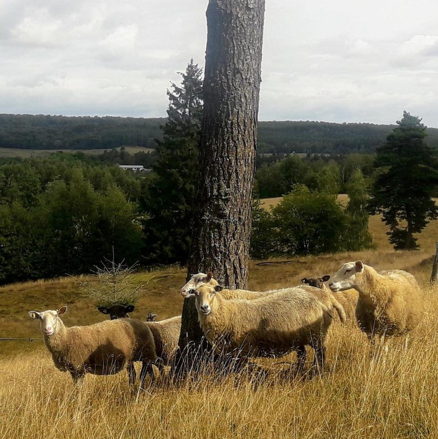 Brosarp Kallagarden Stora Gardslagenheten Eksteriør bilde